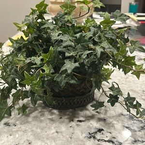 Gorgeous metal basket with realistic greenery.